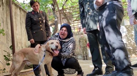 Ş­e­h­i­t­ ­o­n­b­a­ş­ı­n­ı­n­ ­k­ö­p­e­ğ­i­ ­a­i­l­e­s­i­n­e­ ­s­a­h­i­p­l­e­n­d­i­r­i­l­d­i­